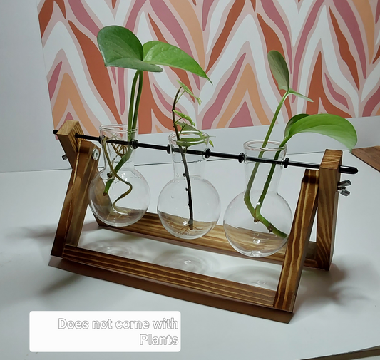 Glass tubes for plants with stand