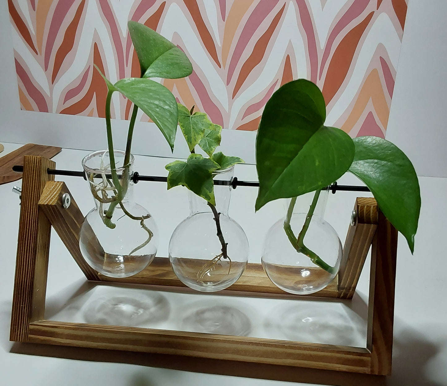 Glass tubes for plants with stand