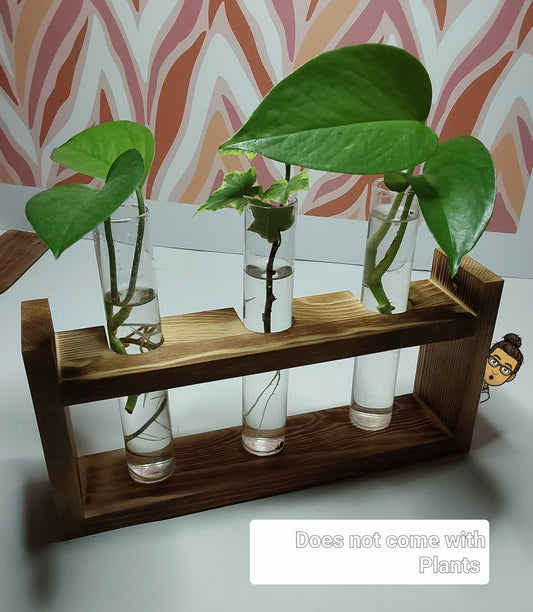 Glass tubes for plants with wooden rack
