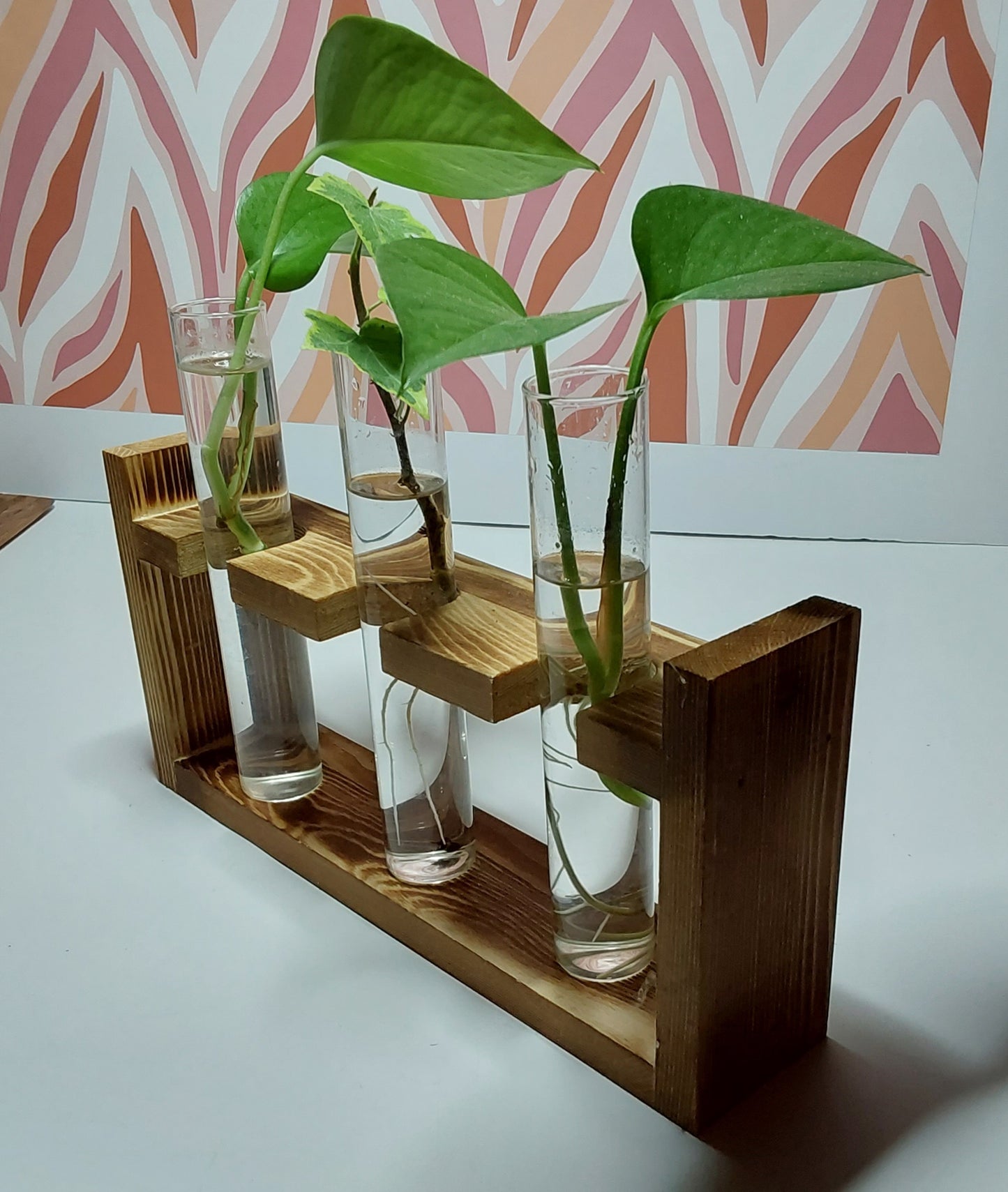 Glass tubes for plants with wooden rack