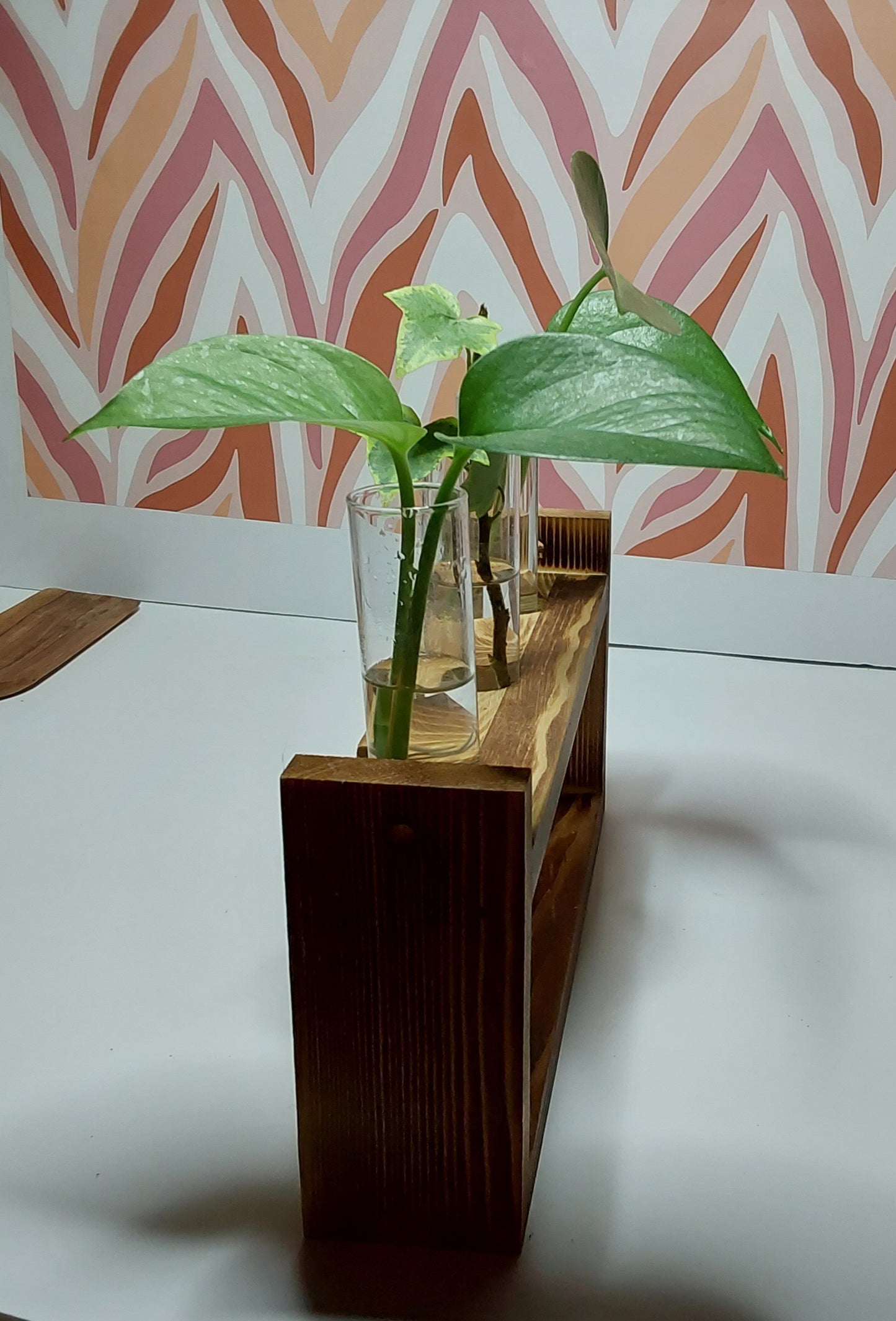 Glass tubes for plants with wooden rack